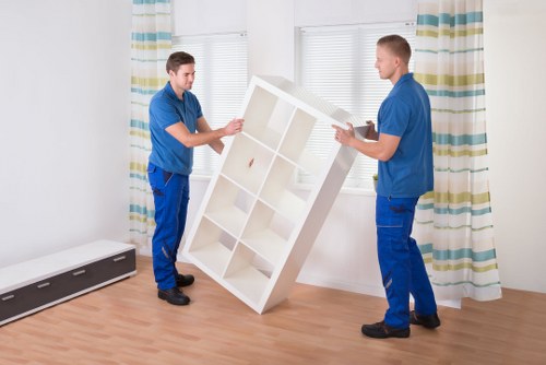 Professional mover carrying boxes near Brompton homes