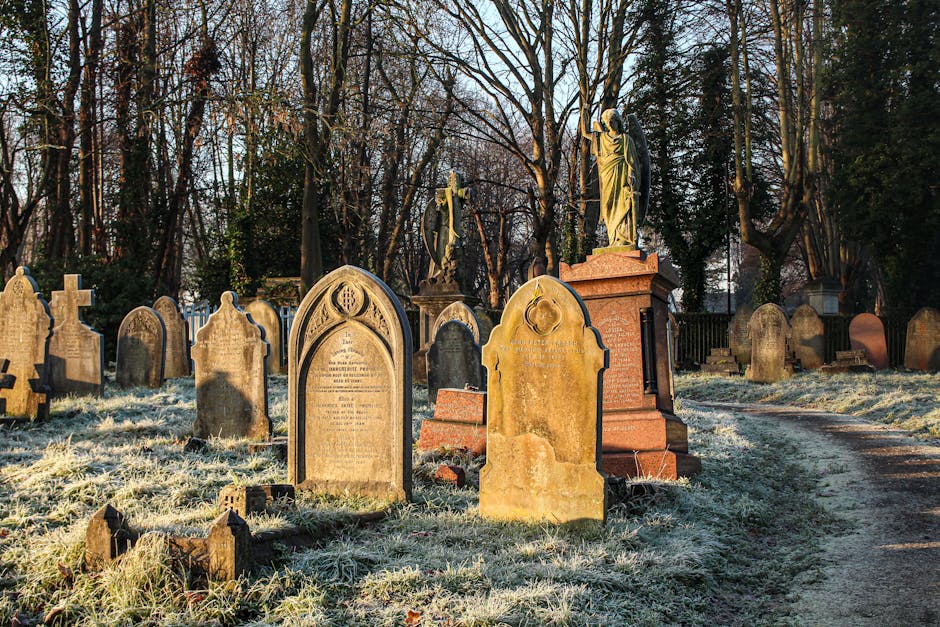 A cemetery with numerous weathered gravestones and tombstones of varying sizes and shapes, some with carved inscriptions and decorative elements, arranged along a dirt pathway that winds through leafless trees with bare branches, suggesting winter or early spring. The ground is covered with a light frost or snow. In the background, a large stone statue of a standing figure is visible atop a pedestal, partially shaded by the trees. The scene is illuminated by natural sunlight, casting long shadows, and the overall atmosphere is quiet and somber. The cemetery appears to be a site for historical or family burials, and the image captures the process of transporting and accessing graves, relevant to house removals or moving services supported by Brompton Man and Van, as indicated by their website, bromptonmanandvan.com.